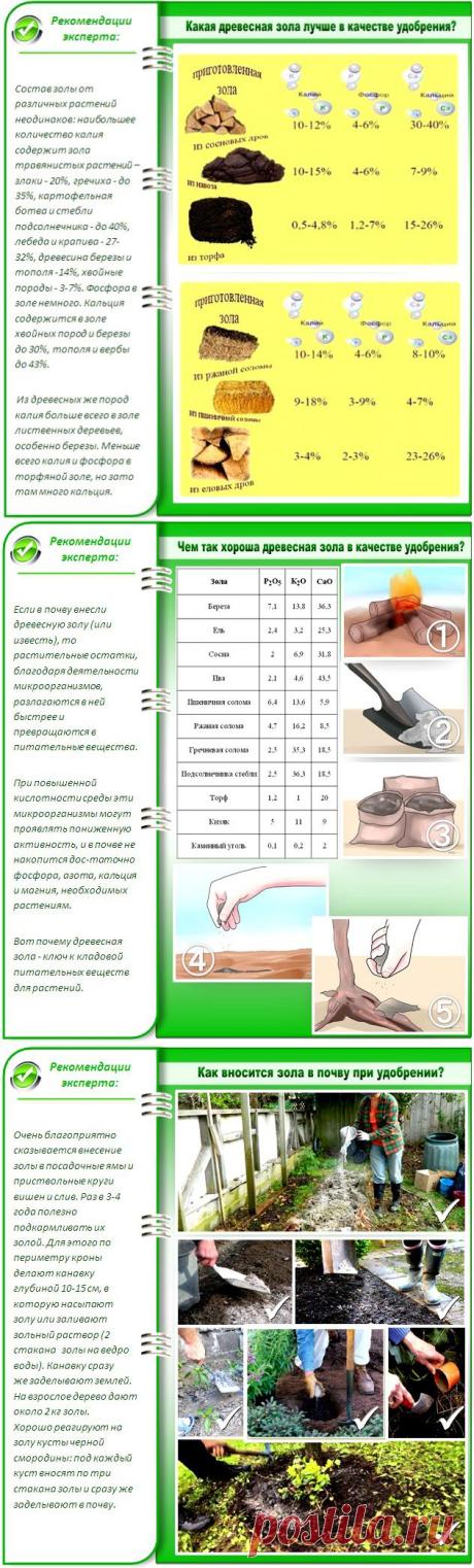Зола древесная как удобрение для почвы: суммарный опыт от огородников