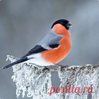 Мой Мир@Mail.Ru