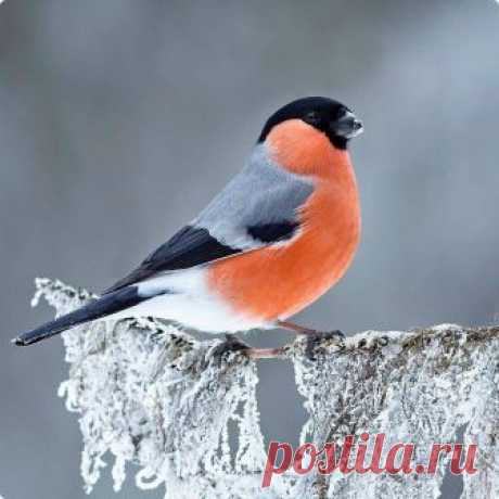 Мой Мир@Mail.Ru