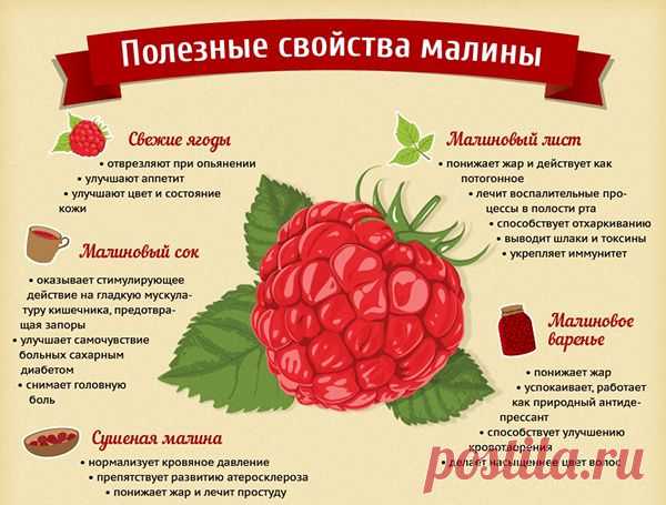 калорийность варенья из малины