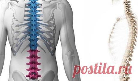 Ваша молодость «заперта» в грудной клетке. Это потрясающее упражнение поможет ее освободить!