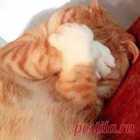 1,2,3,4,5...я иду искать!