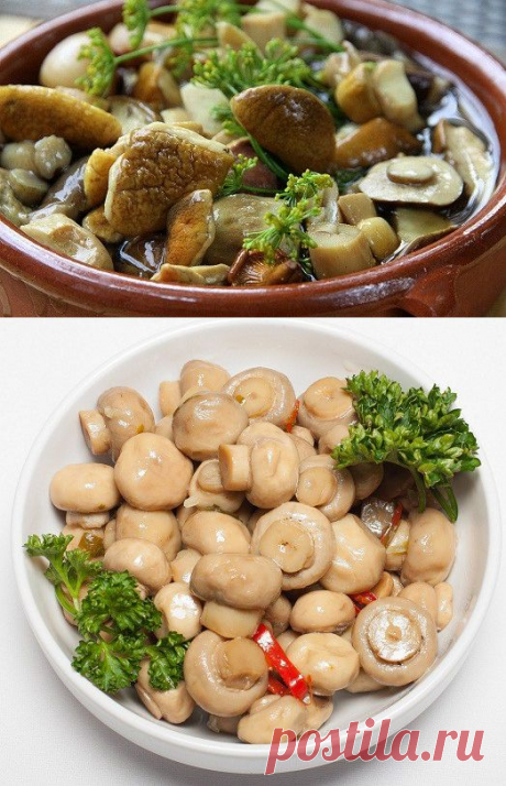 Кто не любит ароматные маринованные грибочки? Лучшие рецепты — Вкусные рецепты