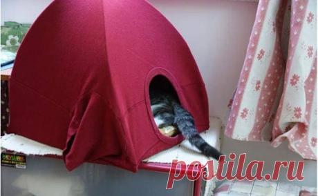 Домик для собаки своими руками - Собака в доме