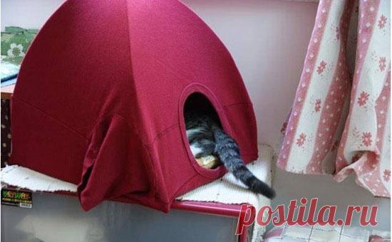 Домик для собаки своими руками - Собака в доме