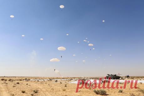 Египет в Сирийской войне