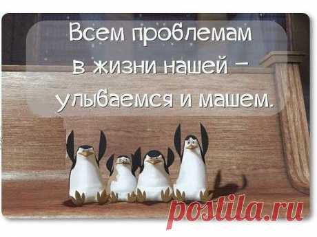 Жить иллюзиями, мечтами о лучшей жизни?
Извините, но настанет момент, подобный этому.. &quot;Алло, освободилось место в детском саду для Вашего мальчика....&quot;Извините, но мой сын уже в армию ушел&quot;...
Жизнь одна.... и пусты иллюзии о лучшей жизни когда-то, когда на голову мешок денег упадет...НЕ БУДЕТ ТАКОГО! ПОКА САМИ НЕ ПОТОПАЕТЕ - НЕ ПОЛОПАЕТЕ!
Жить нужно сегодня и сейчас.... и самому и детям... а не когда-то завтра...