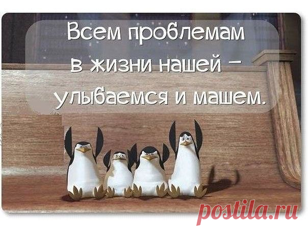 Жить иллюзиями, мечтами о лучшей жизни?
Извините, но настанет момент, подобный этому.. "Алло, освободилось место в детском саду для Вашего мальчика...."Извините, но мой сын уже в армию ушел"...
Жизнь одна.... и пусты иллюзии о лучшей жизни когда-то, когда на голову мешок денег упадет...НЕ БУДЕТ ТАКОГО! ПОКА САМИ НЕ ПОТОПАЕТЕ - НЕ ПОЛОПАЕТЕ!
Жить нужно сегодня и сейчас.... и самому и детям... а не когда-то завтра...