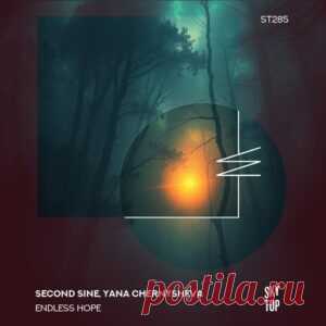 Second Sine & Yana Chernysheva - Endless Hope [ST285] - HypeDJ.top