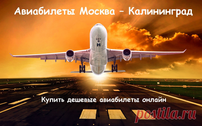 Онлайн заказ авиабилетов! Купить дешевые авиабилеты онлайн: Москва-Калининград и Калининград-Москва. Бонусы! Скидки!