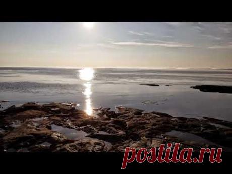 Стрим 16 марта 2024г. Юрий Якуба приехал в гости.