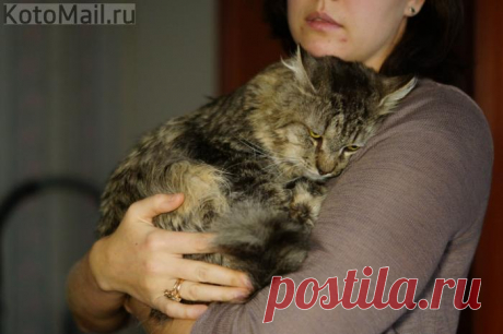 Родненький старичок | KotoMail.ru