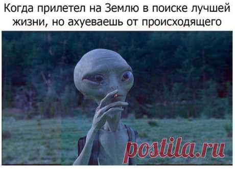 Кирилл Князев