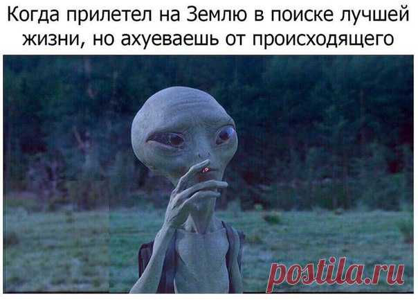 Кирилл Князев