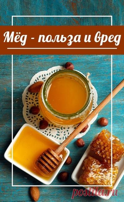 Правда ли, что мед - не такой полезный продукт, как о нем говорят? Кому мед может быть вреден. Как сохранить здоровье без лекарств. Здоровье • здоровый образ жизни • здоровый сон • зож • пп • народная медицина • здоровое питание • медицина • народные рецепты • народные средства • здоровье человека • красота и здоровье • женское здоровье • о здоровье • здоровье женщины