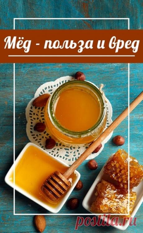 Правда ли, что мед - не такой полезный продукт, как о нем говорят? Кому мед может быть вреден. Как сохранить здоровье без лекарств. Здоровье • здоровый образ жизни • здоровый сон • зож • пп • народная медицина • здоровое питание • медицина • народные рецепты • народные средства • здоровье человека • красота и здоровье • женское здоровье • о здоровье • здоровье женщины