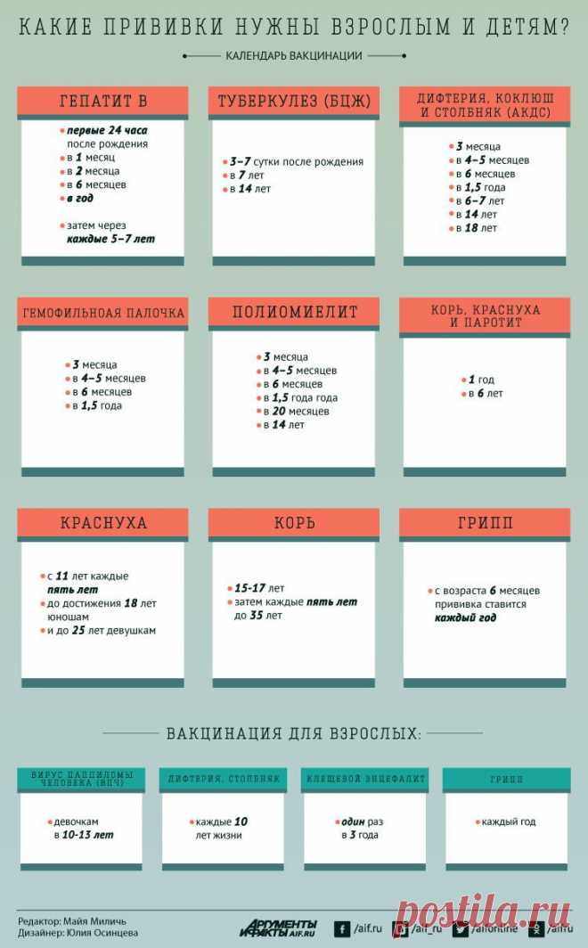 Какие прививки нужны взрослым и детям? Календарь вакцинации | Полезные инструкции от aif.ru