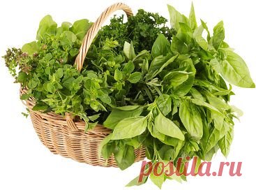 СОВЕТЫ ТРАВНИКА | Советы Народной Мудрости