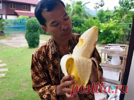 Fruits King - The Largest Fruits in The World