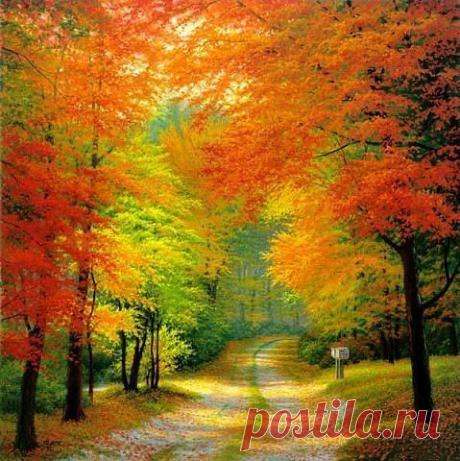 Фото Без названия. Альбом ""ЛЕДИ ОСЕНЬ"" - 39 фото. Фотографии Касана А.