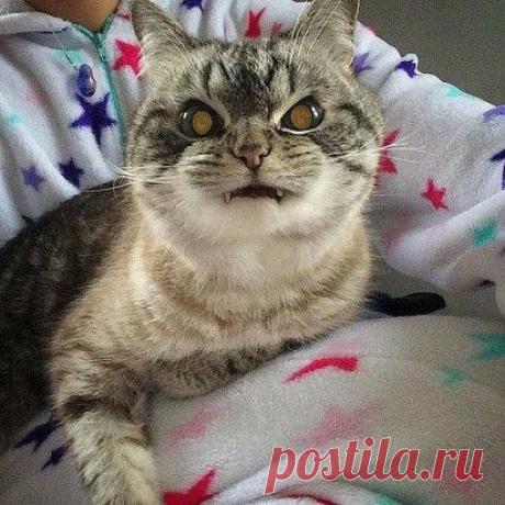 Случайно сделала фото..теперь спать с ним страшно..может окрапить святой водичкой?)))