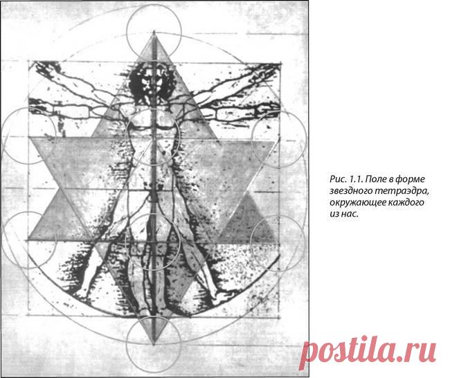 Древняя Тайна Цветка Жизни. Том 1. Глава 1. Вспоминая наше древнее прошлое (Друнвало Мельхиседек)