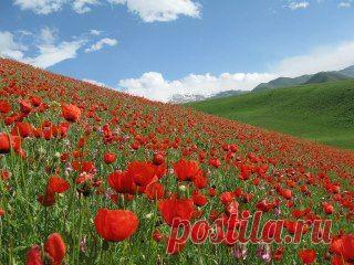 ДРУЗЬЯ ПРИГЛАШАЮ ВСЕХ В ГОРЫ!!!