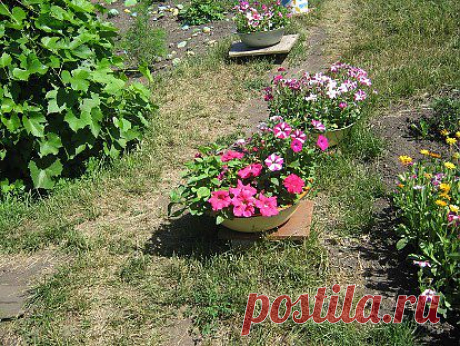 Как красиво вокруг!