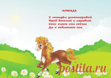Штаны на лямках! Родителям и детям