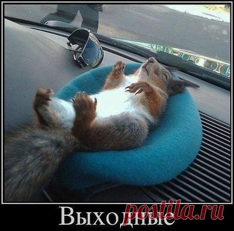 Мой Мир@Mail.Ru