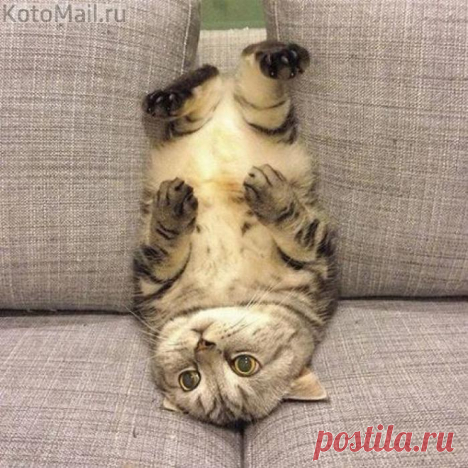 Когда меняешь угол зрения - это тоже интересно)