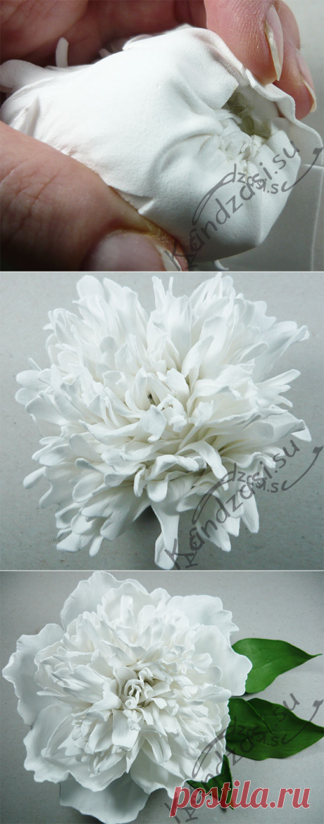 Махровый пион ,,Касабланка,, из фома