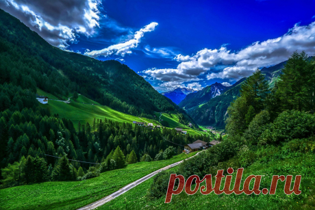 Фотография Италия Bolzano Горы Природа Леса Небо Пейзаж Трава Облака
