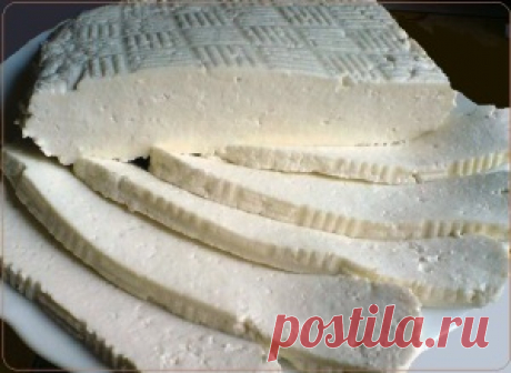 Адыгейский сыр в домашних условиях | Рецепты вкусно
