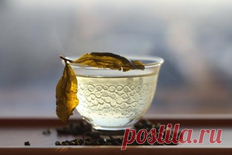 Улуны способствуют выводу из организма липидов и холестерина | Чай, херес и немного кофе | Яндекс Дзен