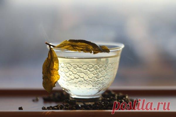 Улуны способствуют выводу из организма липидов и холестерина | Чай, херес и немного кофе | Яндекс Дзен