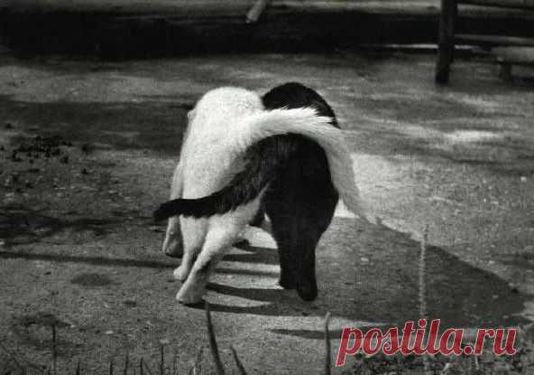 Мой Мир@Mail.Ru