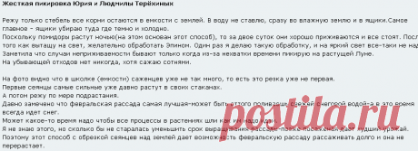 Томаты.Часть 5 - Форум садоводов Твой Сад