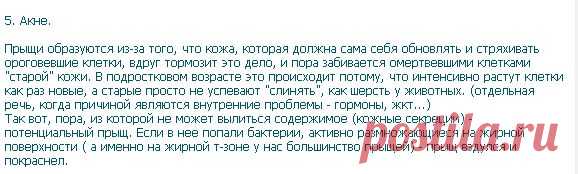 Система Полы Бегун