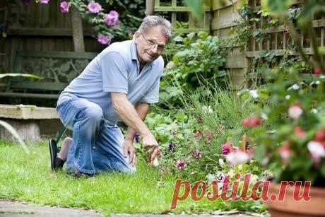 Маленькие секретики (садовод-садоводу). 

1. Йод для капусты. 
В ведро воды добавить 40 капель йода. Когда начнет формироваться кочан, поливать капусту под растение по 1 литру. 

2. Ускорение пророста. 
Чтобы семена быстрее проросли их замачивают в растворе перекиси водорода (4%) на 12 часов (капуста), а семена помидоров и свеклы - на 24 часа. Для обеззараживания семян (вместо марганцовки) их обрабатывают 10% перекисью водорода 20 минут. Соотношение раствора и семян 1:1. З...