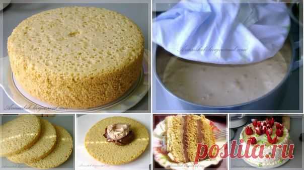 Dessert|Кондитерские шедевры
