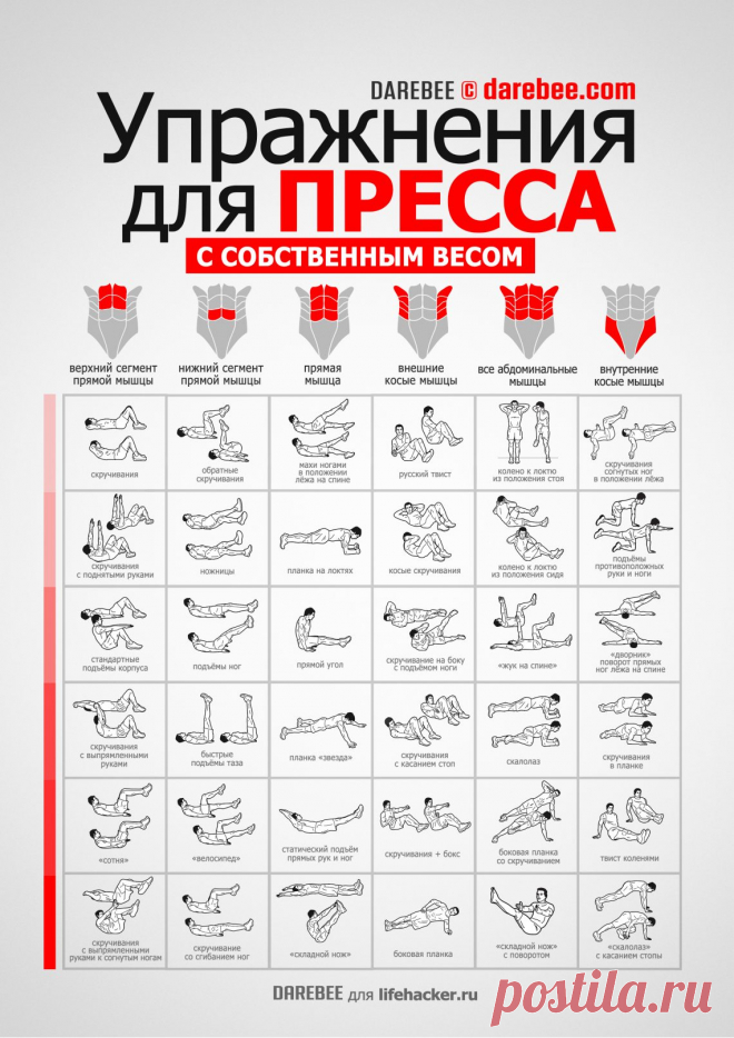 ИНФОГРАФИКА: 36 упражнений для пресса - Лайфхакер