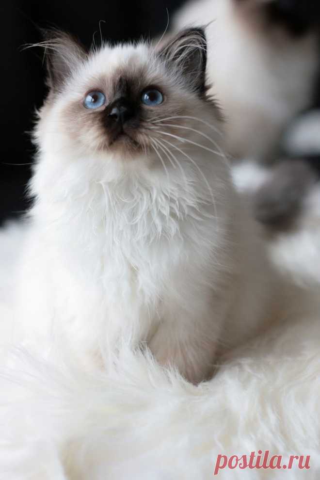 beyootiful