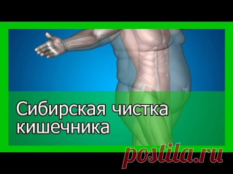 Сибирская чистка кишечника   старинный рецепт сибирских знахарей