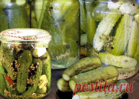 Соленые огурцы с горчицей на зиму Это рецепт самых вкусных огурцов, как из бочки, его мне рассказала мама, самый простой и проверенный способ!Порций: 3Время приготовления: 3 д. 20 м. (На подготовку банок и закладывание ингредиентов 20 мин., на засолку 3 дня.)Ингредиенты (3 порции)Вода — 1.5 л (Питьевая)Горчица — 3 ч.л....