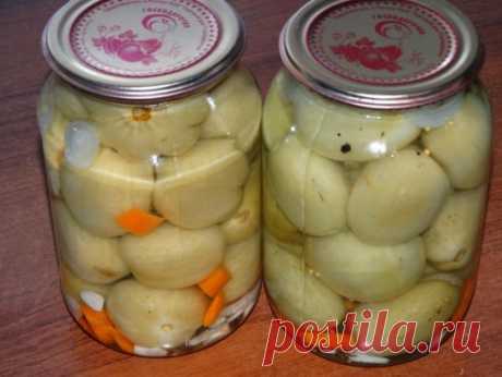 патиссоны