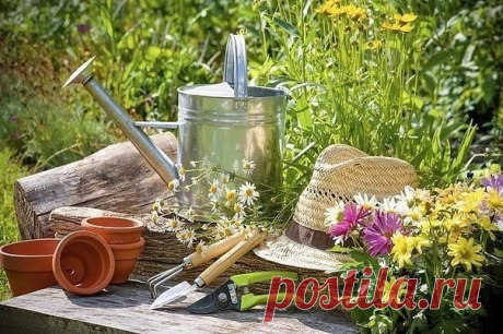 Дачные хитрости. Дача. Сад. Огород