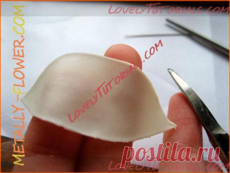 лилия,lily,lilie,giglio,lirio - Страница 4 - Мастер-классы по украшению тортов Cake Decorating Tutorials (How To's) Tortas Paso a Paso