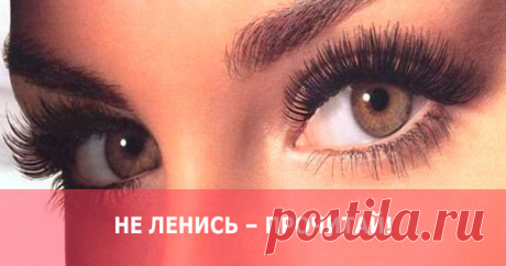 Не ленись – Прочитай! .