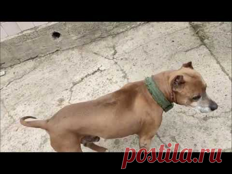 ГЛАВНОЕ ЧТО БЫ КОСТЮМЧИК СИДЕЛ....#житиёмоё от 25 05